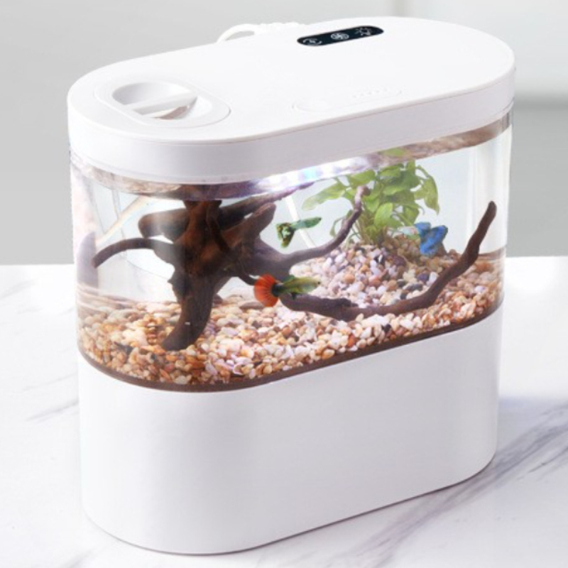 Acquario da Tavolo Creativo co - Betta Fish Tank recensione e prezzo
