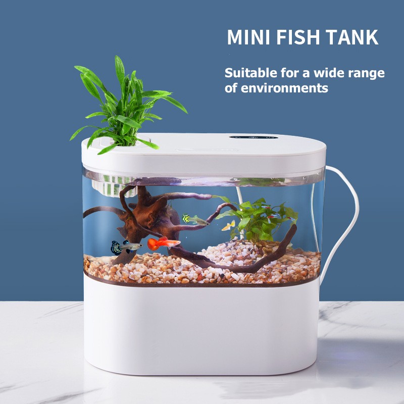 Acquario da Tavolo Creativo co - Betta Fish Tank recensione e prezzo