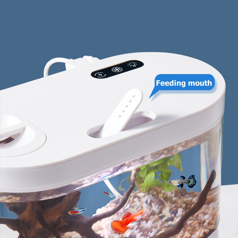 Acquario da Tavolo Creativo co - Betta Fish Tank recensione e prezzo