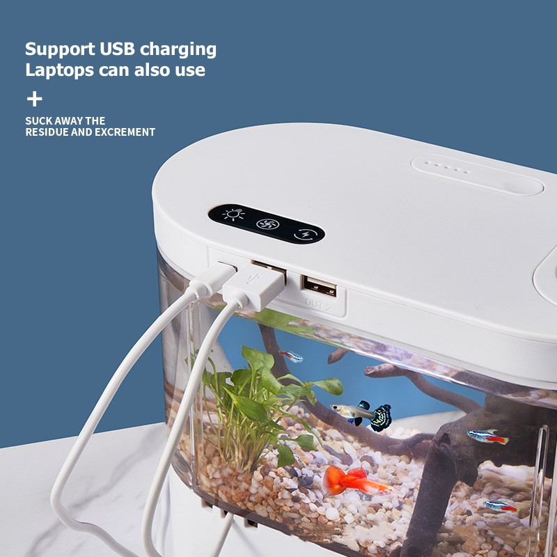 Acquario da Tavolo Creativo co - Betta Fish Tank recensione e prezzo