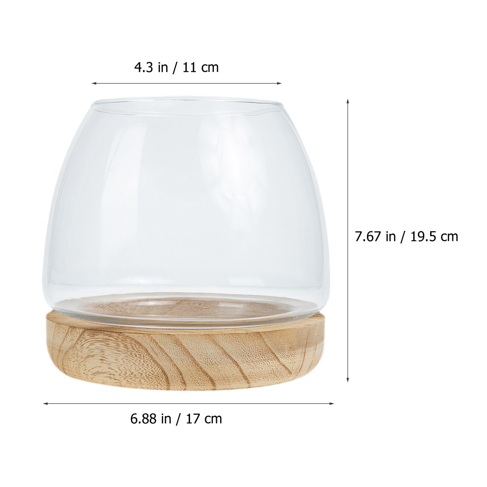 1 set di terrario idroponico i - Aquarium Fish Betta recensione e prezzo