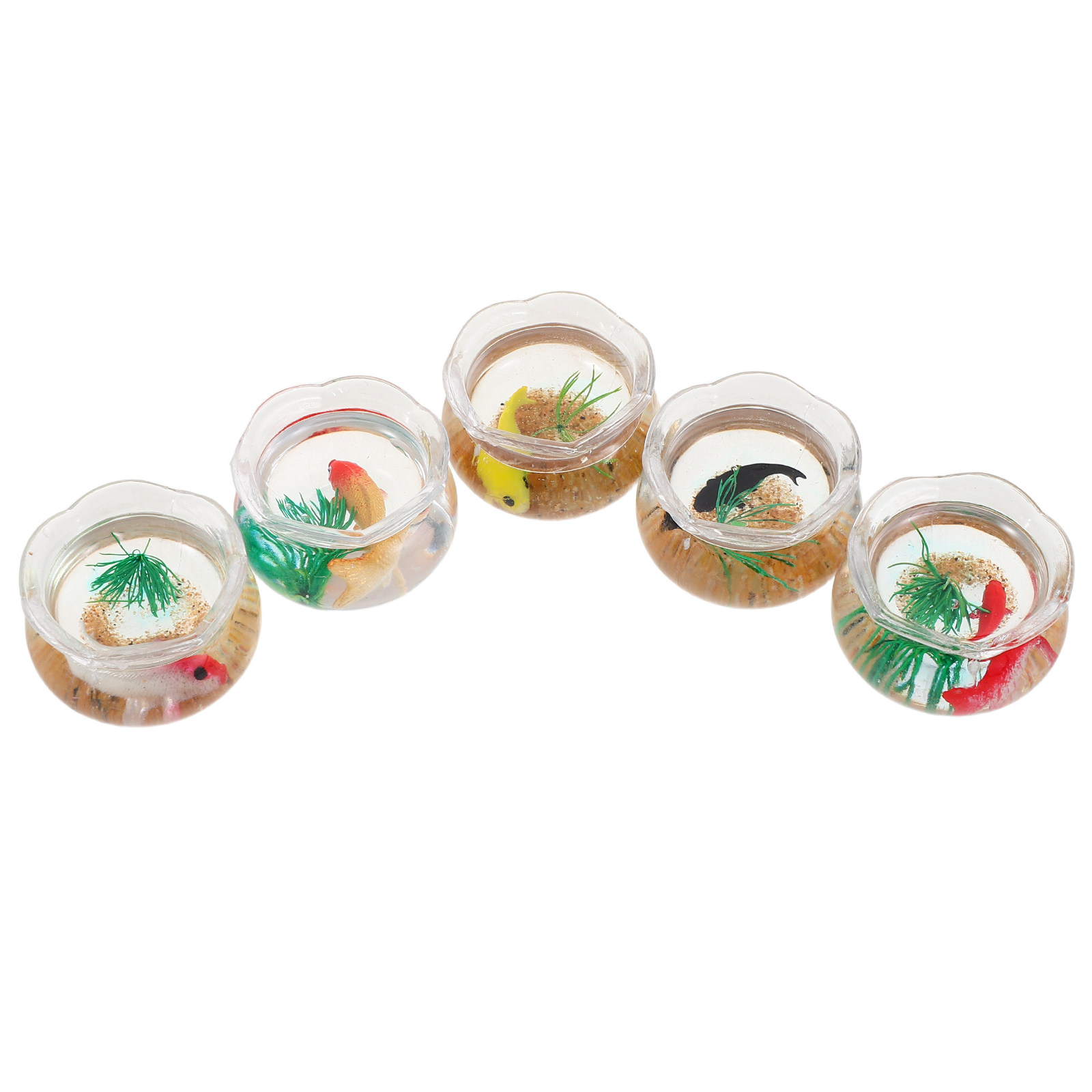 Set da 5 mini acquari a forma  - Aquarium Plants recensione e prezzo