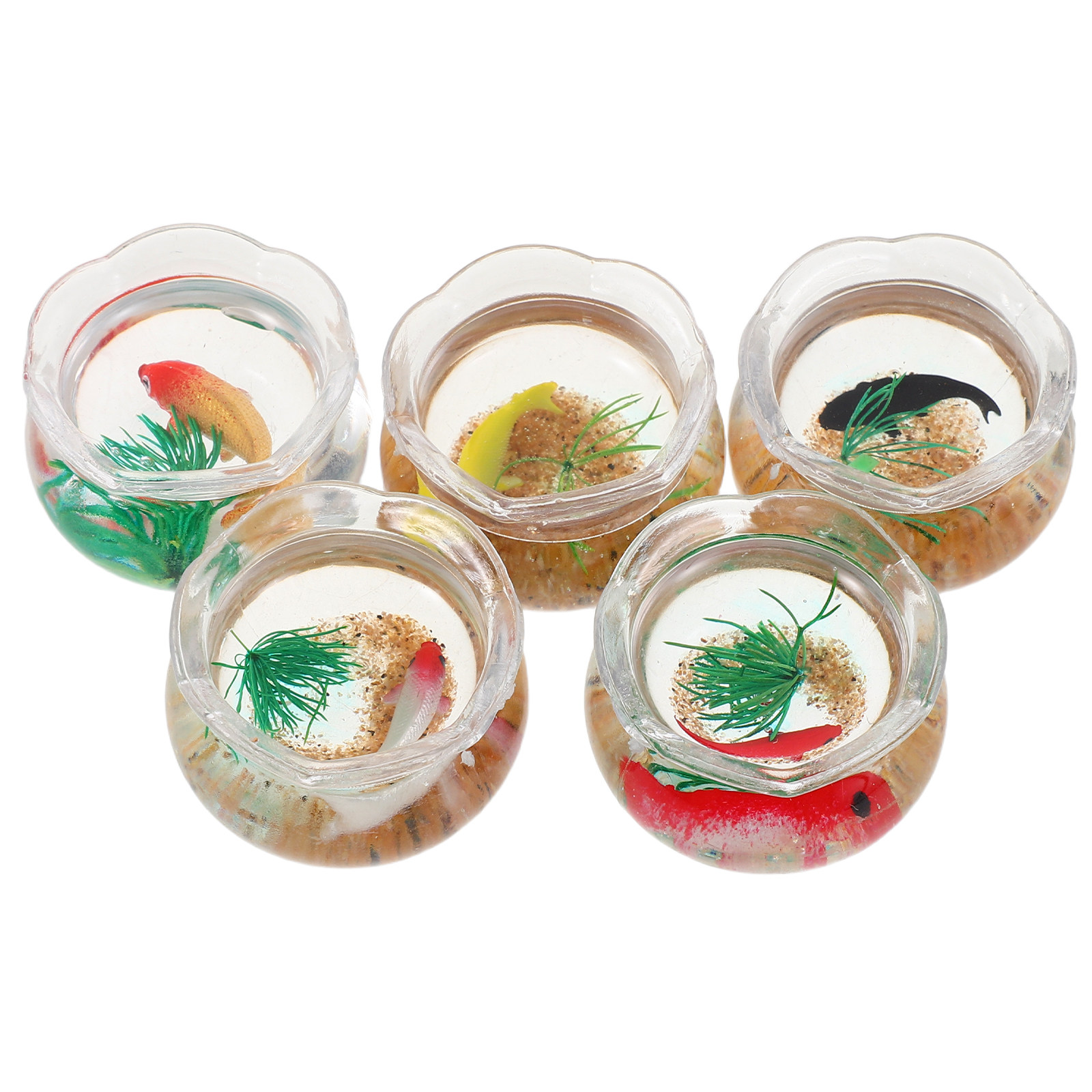 Set da 5 mini acquari a forma  - Aquarium Plants recensione e prezzo