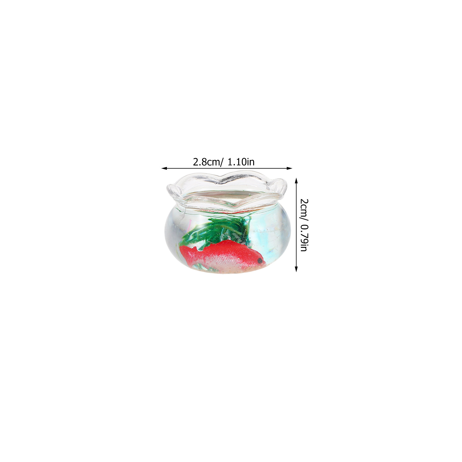 Set da 5 mini acquari a forma  - Aquarium Plants recensione e prezzo